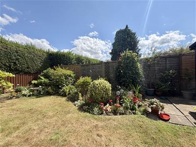 Picture 24